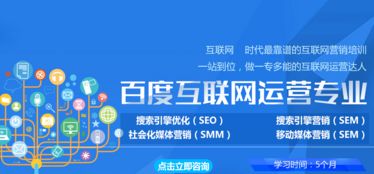 搜索引擎優(yōu)化（SEO）的分類及其在互聯(lián)網(wǎng)銷(xiāo)售中的應(yīng)用